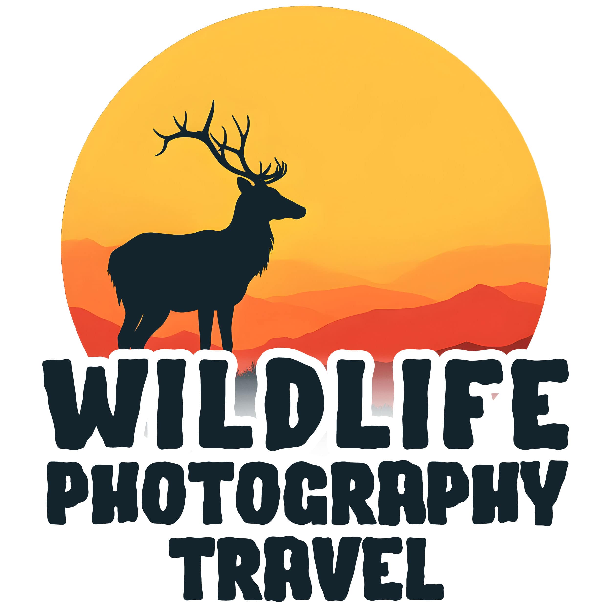 Wildlife Photography Travel